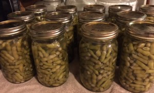canned green beans