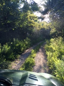 An afternoon ride through the mountains of Kentucky.