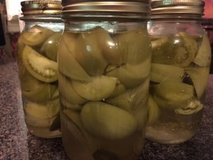 Pickled Green Tomatoes are a fall and winter favorite. 