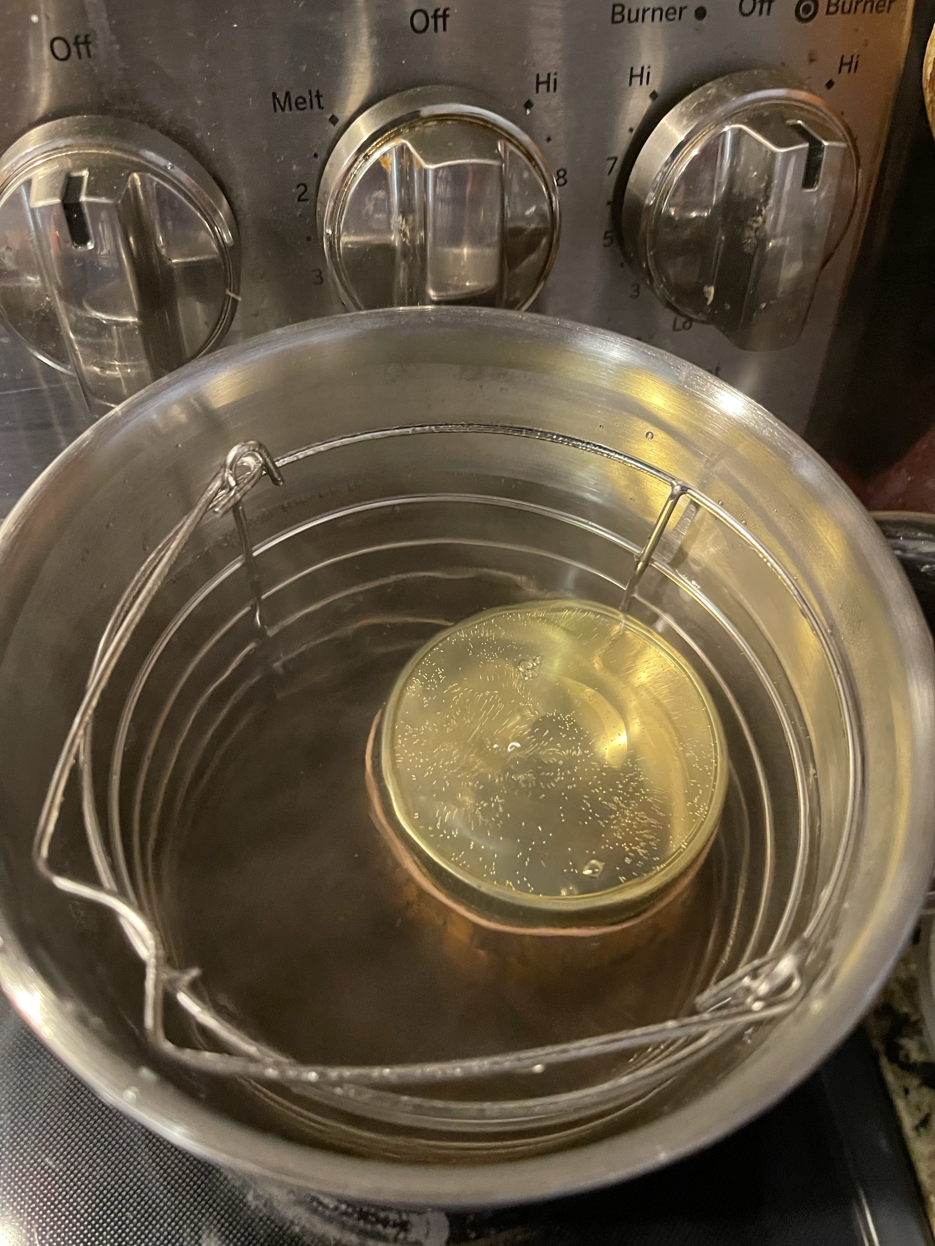 Canning One Jar at a Time (Recipe links included) | A Healthier Me ...